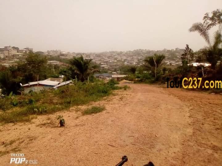 Terrain à vendre à pk17, Douala