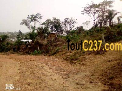 Terrain à vendre à pk17, Douala