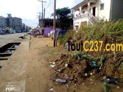 Urgente: Terrain commercial à vendre à Ndog-bong, Douala