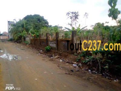 Urgence: Terrain à vendre à Logbessou, Douala