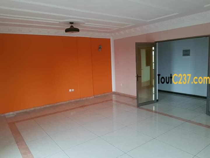 Appartement VIP à louer à Akwa, Douala