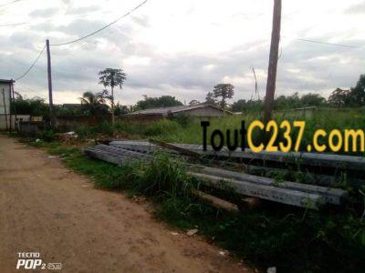 Terrains à vendre à Ndog-Bong Douala