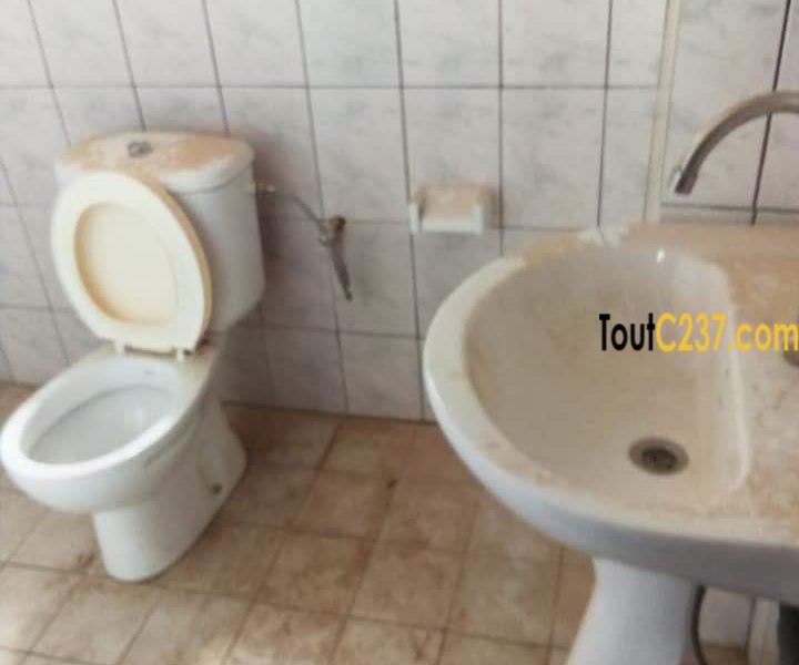 Appartement à louer à Kotto Residence, Douala