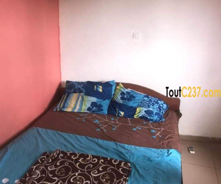 Duplex meublé à louer à Youpwe, Douala