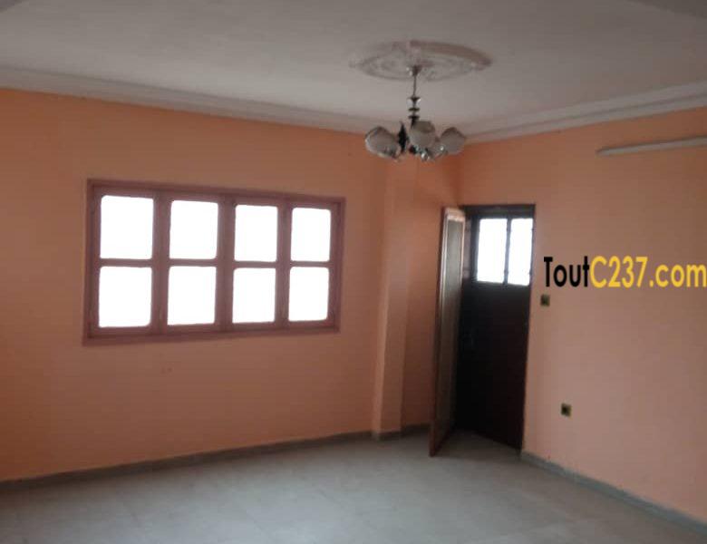 Appartement à louer à Ngodi Akwa, Douala