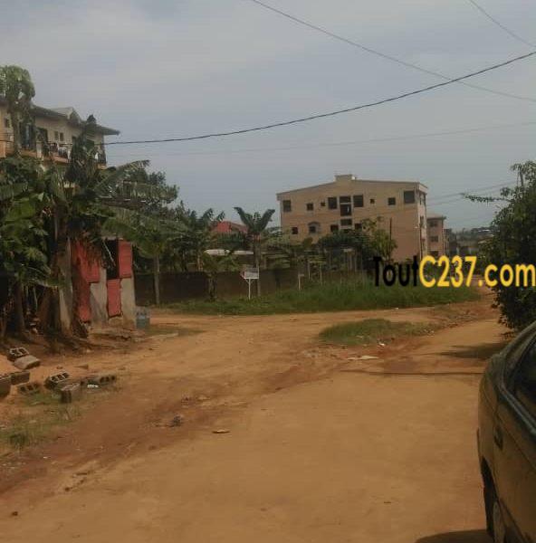 Terrain à vendre à Logbessou, IUC, Douala