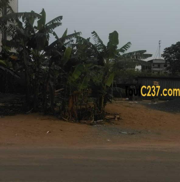 Terrain à vendre à Maetur Yassa, Douala