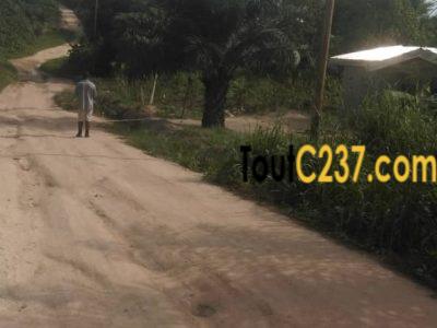 Terrain à vendre à Papass Pk14, Douala