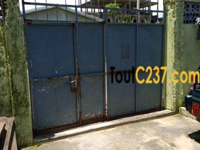 Maison Ã  vendre Ã  Kotto, Douala
