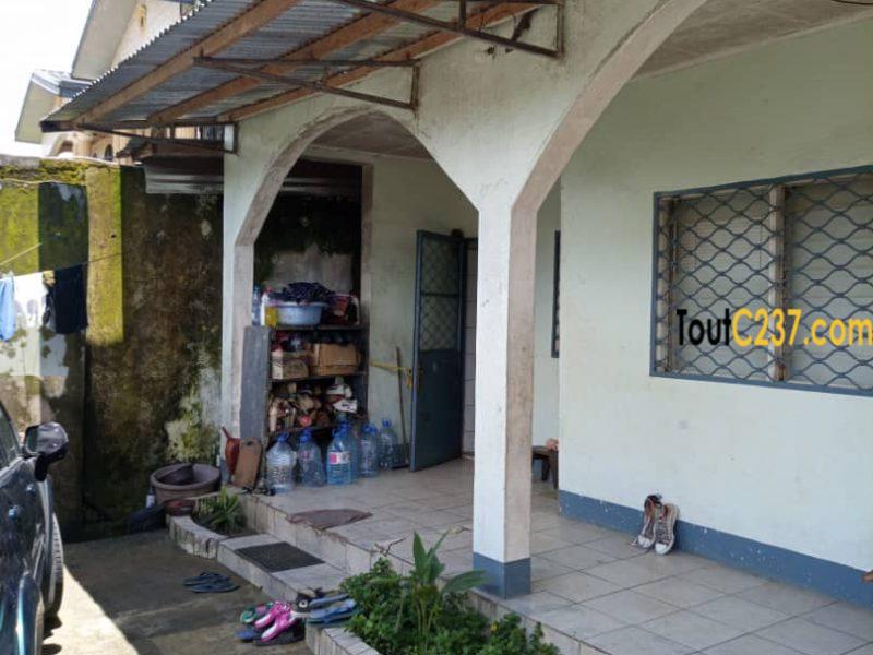 Maison à vendre à Kotto, Douala