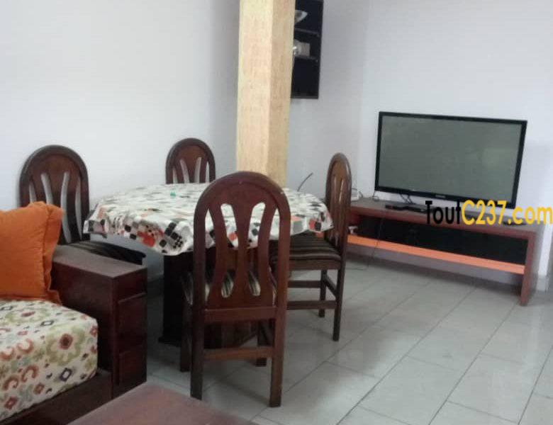 Appartement meublé à loué à bonapriso, Douala
