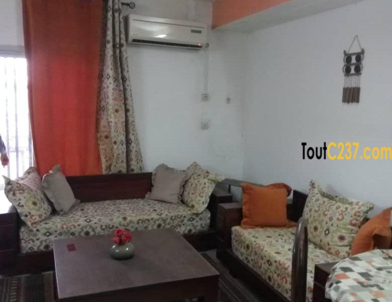 Appartement meublé à loué à bonapriso, Douala