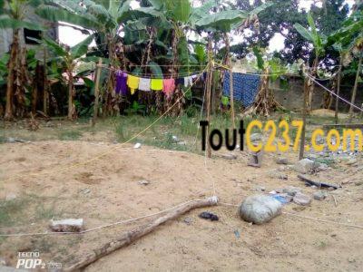 Opportunité: Terrain à vendre à Pk14, Douala