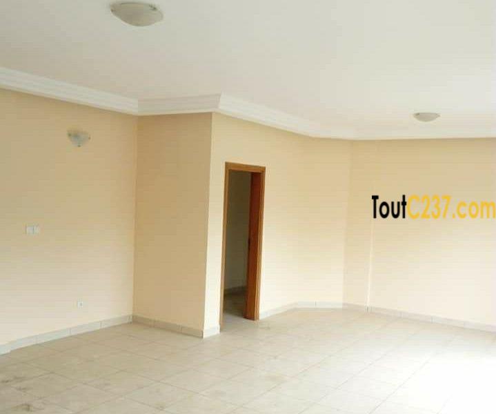 Appartement VIP à louer à Bonamoussadi, Douala