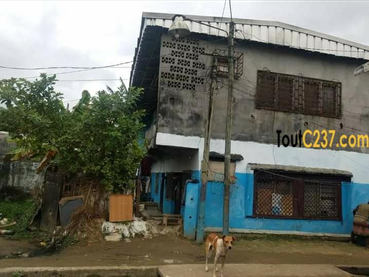 Terrain bâti à vendre à Ange Raphaël, Douala