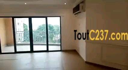 Appartement À Louer À Bonapriso, Douala