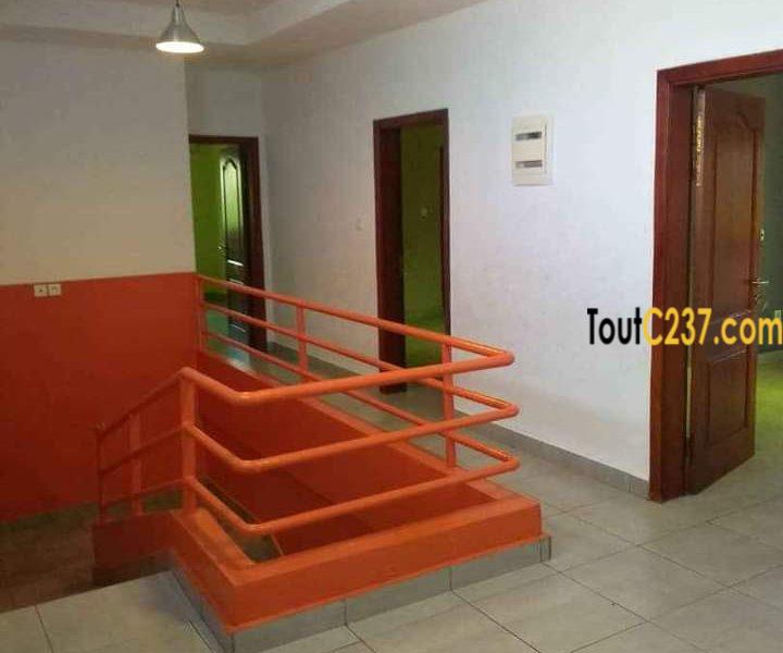 Somptueux appartement en duplex à louer à kotto, Douala