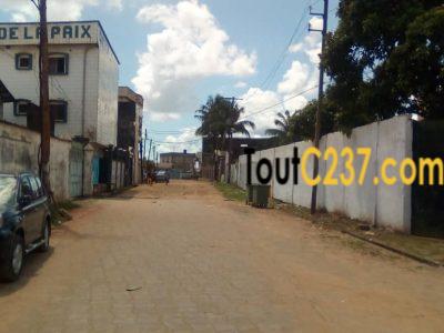 Terrain à vendre Ndokoti, Douala