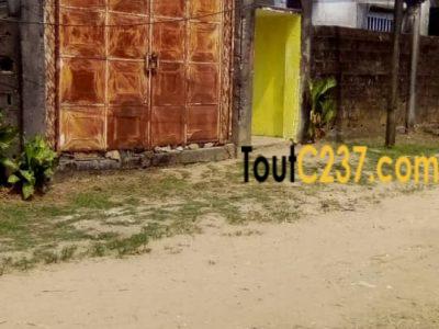 Maison à vendre à Bonaberi, Douala
