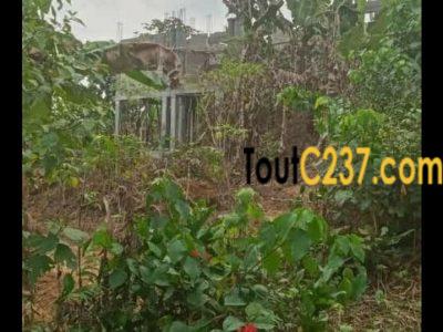 Urgence: Terrain d'angle à vendre à Lendi , Douala