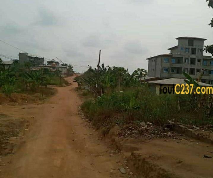 Terrain à vendre à Lendi, Douala