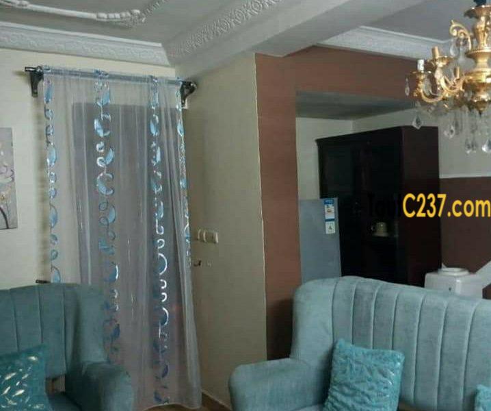 Appartement, studio, chambres meublés à louer à Bonapriso, Douala