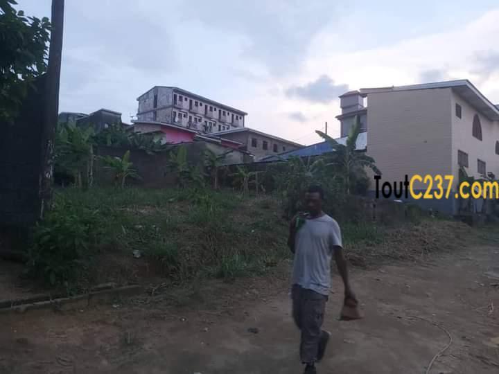 Terrain à vendre à Ndogbong, Douala