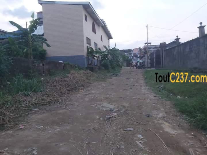 Terrain à vendre à Ndogbong, Douala