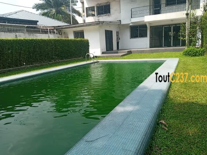Duplex avec piscine à louer à Bonapriso, Douala