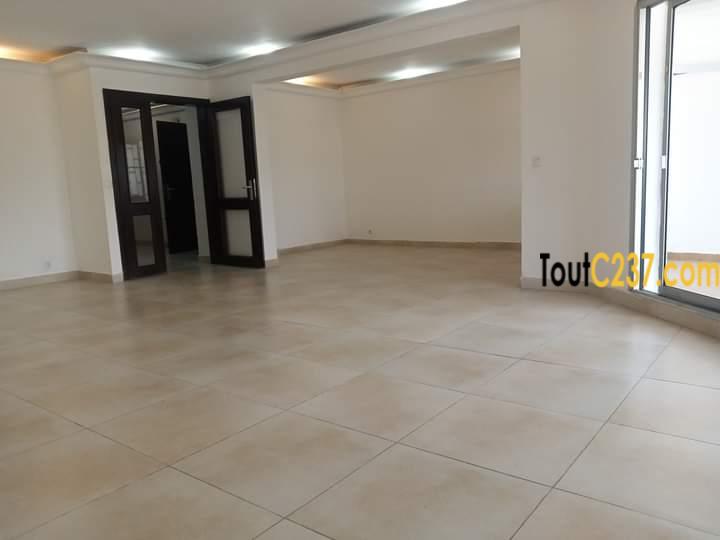 Vaste appartement à louer à Bonanjo, Douala
