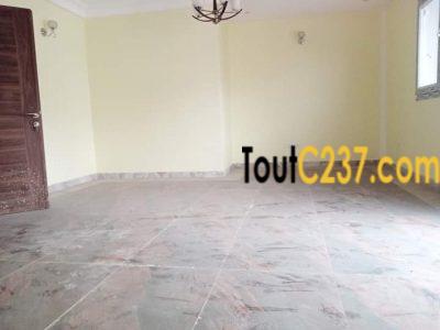 Appartement à louer à Bonapriso, Doualaa