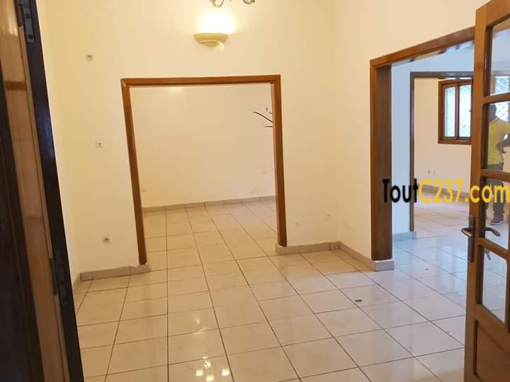 Duplex , villa à louer à Bonapriso, Douala