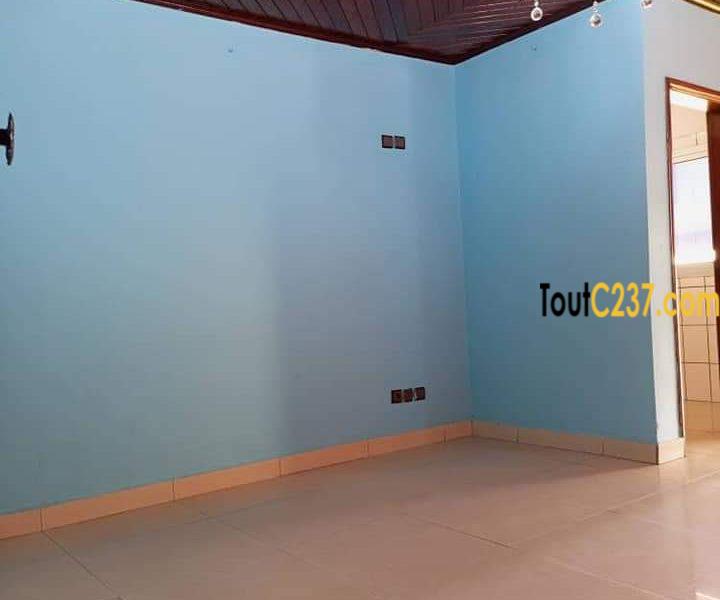 Studio Moderne à louer à Bonamoussadi, Douala