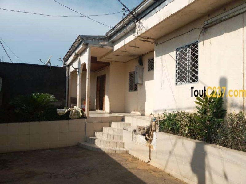 Maison sic transformée à vendre à Kotto, Douala