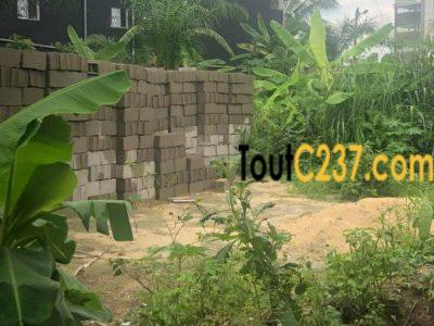 Terrain à vendre à Logbessou, Douala