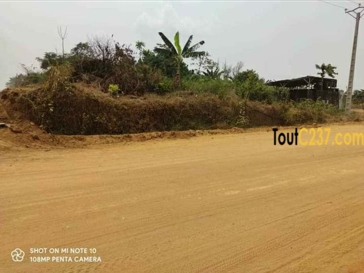 Terrain commercial d'angle à vendre à Lendi, Douala
