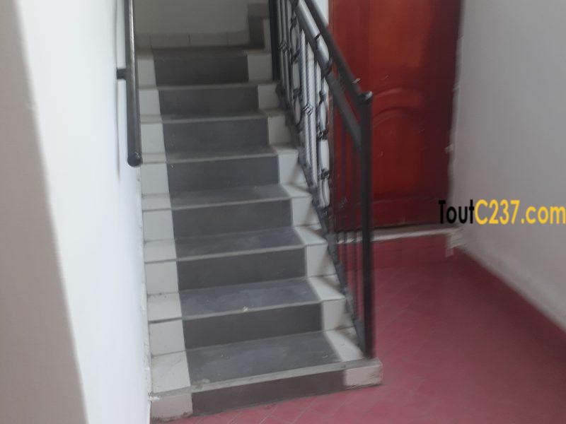 Appartement en duplex à louer à Bonapriso, Douala