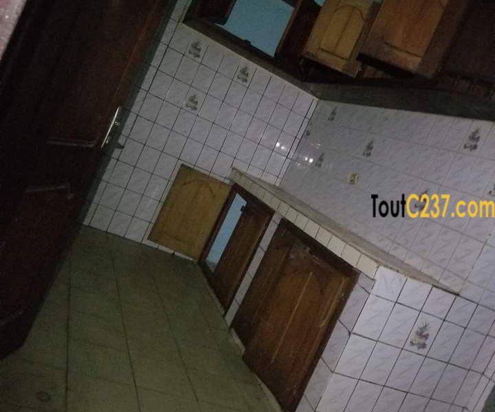 Villa, maison à louer à Bonamoussadi, Douala