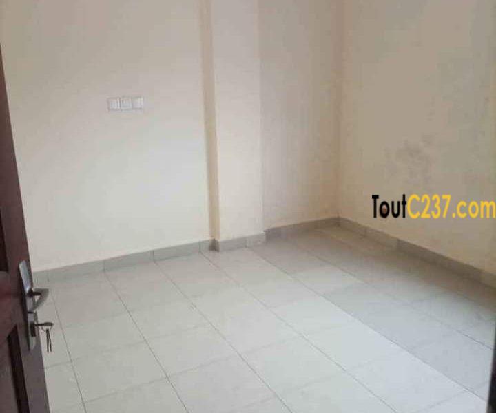 Appartement neuf à louer à Logpom Douala