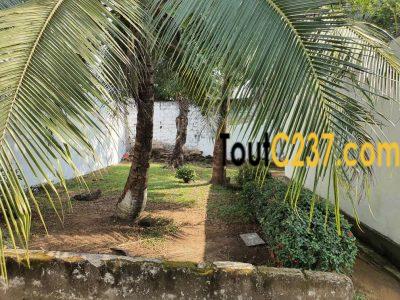 Urgence: Maison à vendre à kotto, Douala