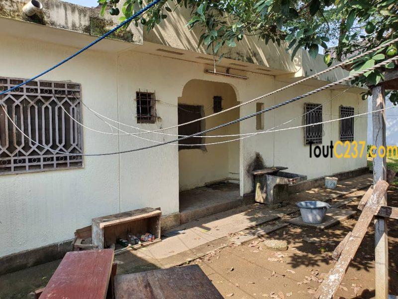 Urgence: Maison à vendre à kotto, Douala