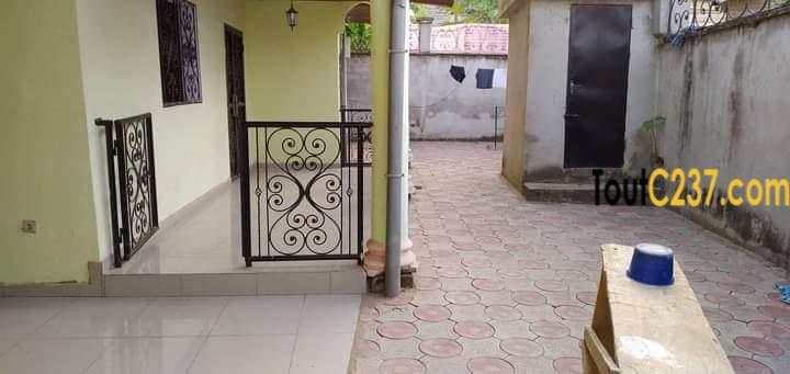 Maison Villa à louer à Kotto Bangue Douala