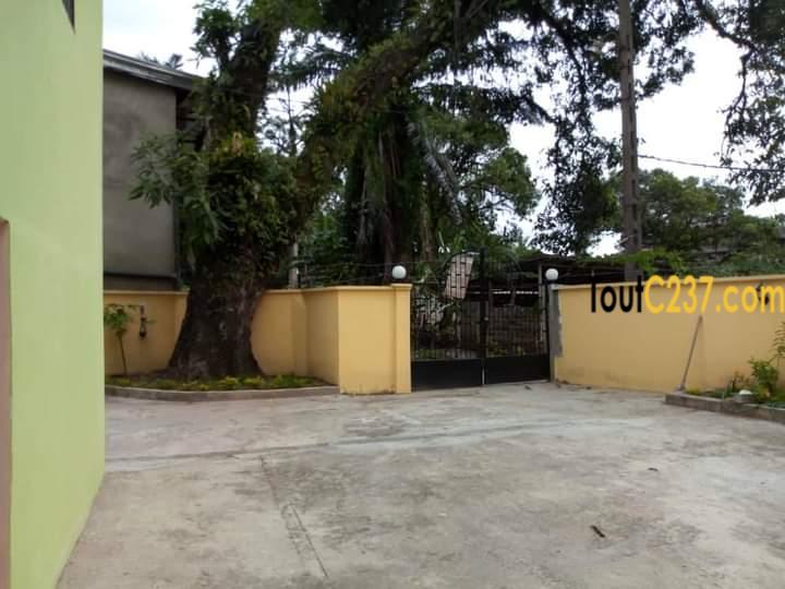 Maison Duplex à louer à Akwa Douala