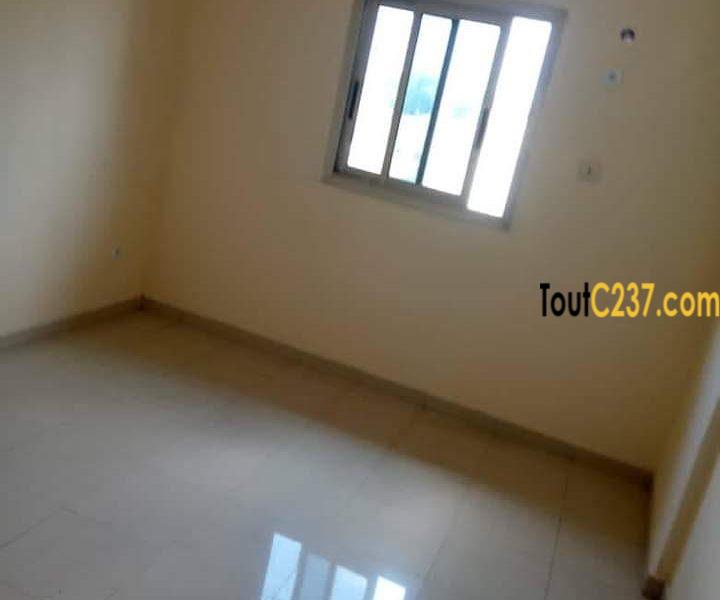 Appartement à louer à Bonapriso Douala