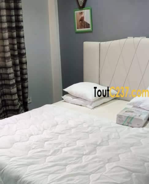 Appartement meublé à louer à Bonapriso, Douala
