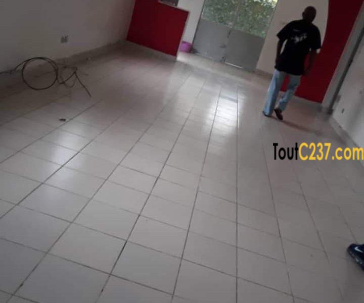 Maison à louer , house to rent, Bonapriso Douala