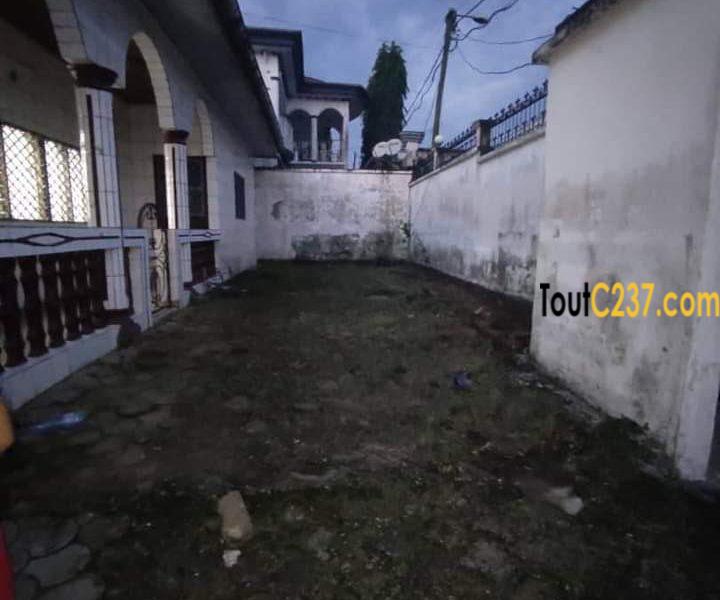 Maison à louer,house to rent, Logpom Douala