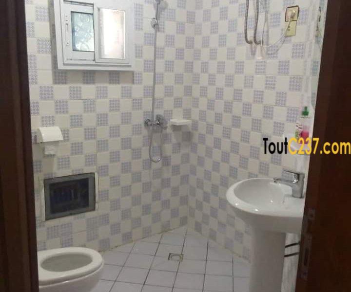 Appartement meublé à louer à Bonamoussadi, Douala