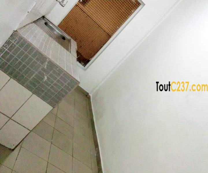 Appartement pour bureau à louer à Makepe Douala
