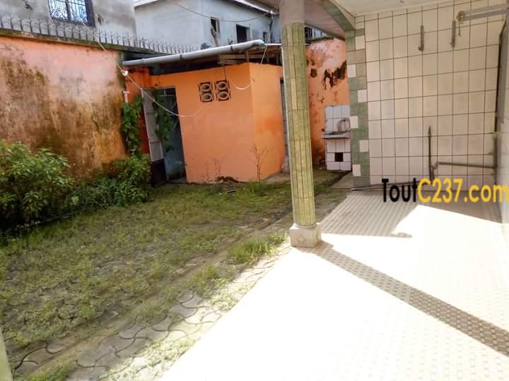 Maison villa à loué à Kotto Douala